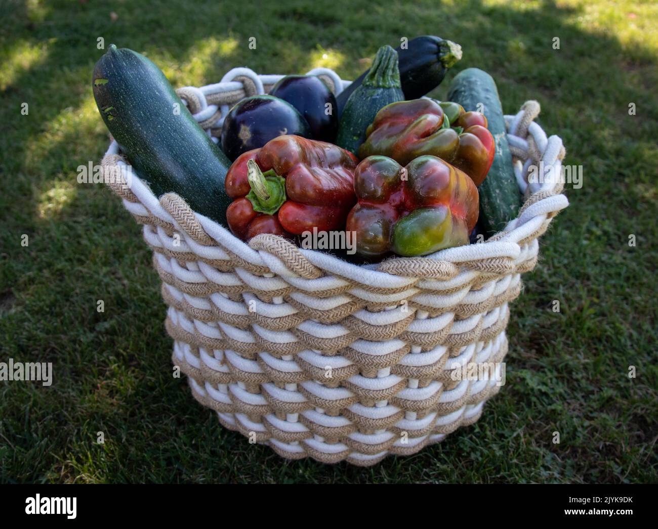 Cesta llena de varios tipos de hortalizas: Pimientos, calabacines, pepinos, cebolas... sobre céspad Banque D'Images