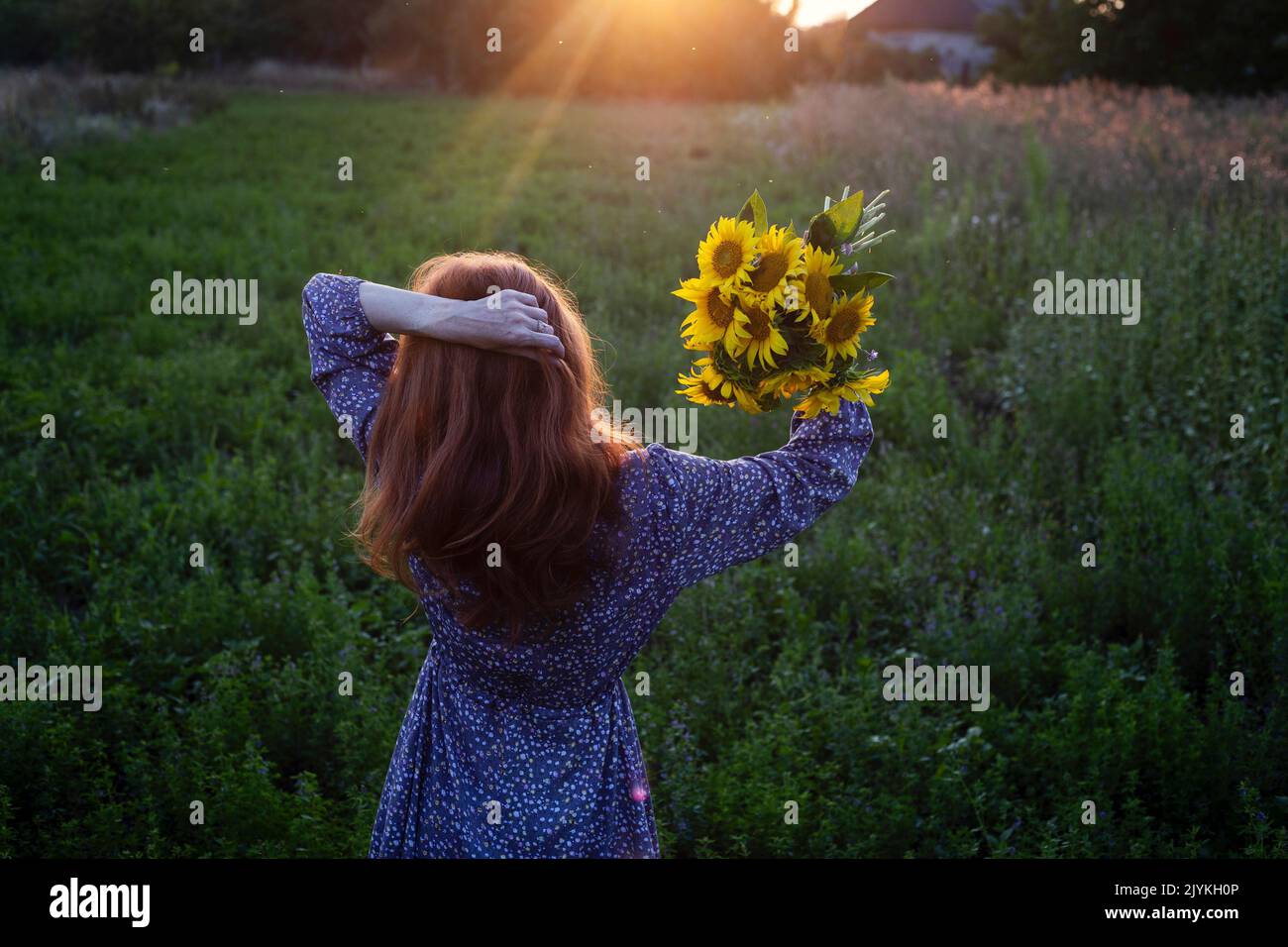 fille tenant un énorme bouquet de tournesols dans leurs mains dans la lumière du coucher du soleil Banque D'Images