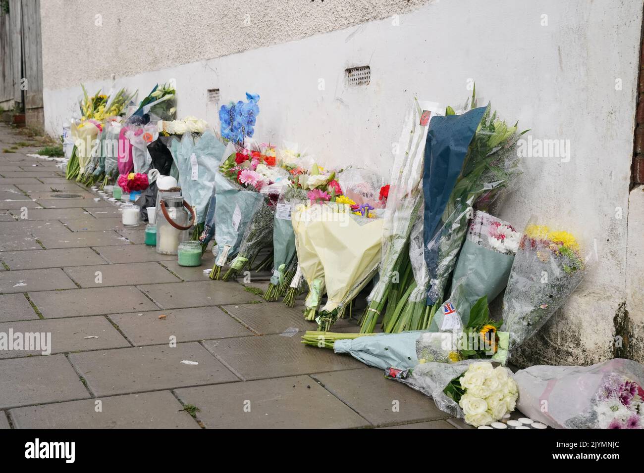 Fleurit à Kirkstall Gardens, Streatham Hill, au sud de Londres, sur la