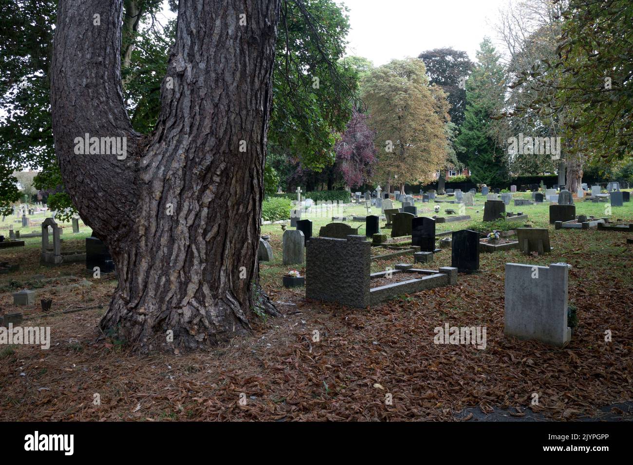 Oaks Road Cemetery, Kenilworth, Warwickshire, Angleterre, Royaume-Uni Banque D'Images