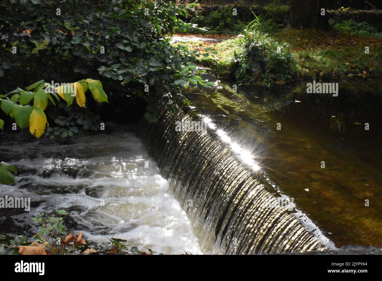 Weir, Canal Walk, Kilkenny, Irlande Banque D'Images