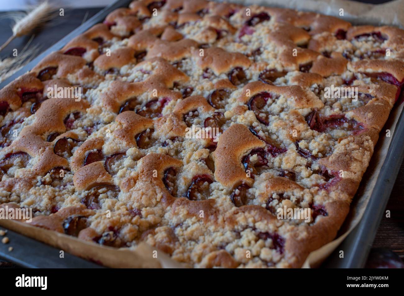 Gâteau aux fruits sur une plaque de cuisson frais et fait maison cuit avec des prunes. gros plan avec fond flou Banque D'Images