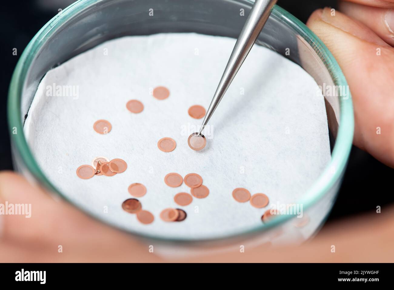 Boîte de Pétri avec grilles de microscopie électronique à transmission pour placer les échantillons Banque D'Images