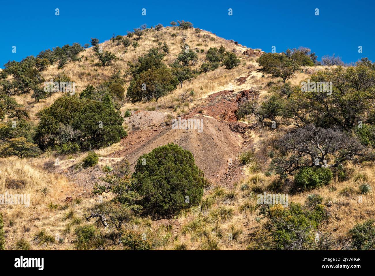 Résidus miniers, près de Josephine Canyon, Salero Road (Forest Road 143), Santa Rita Mountains, Coronado National Forest, Arizona, États-Unis Banque D'Images