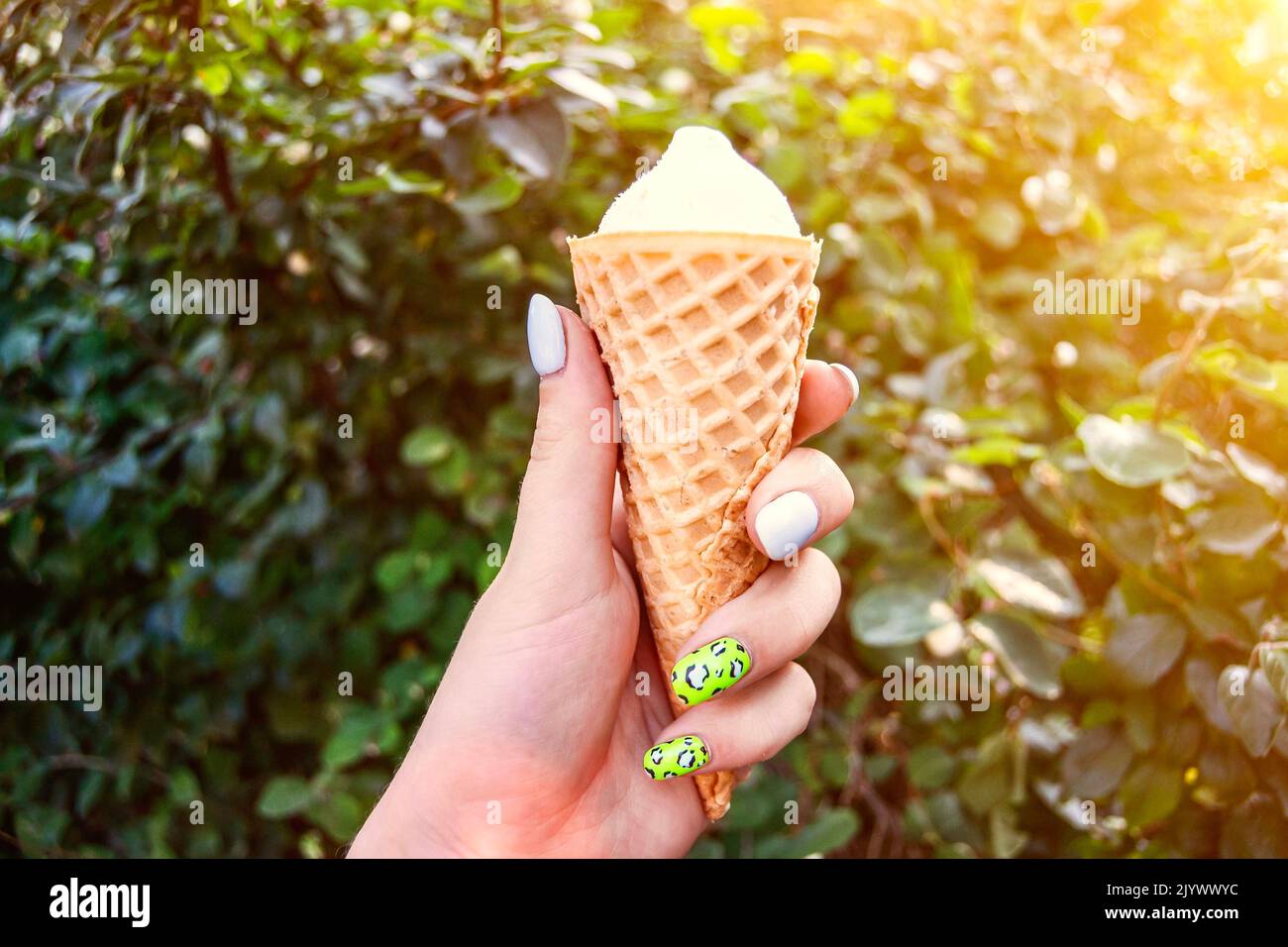 Glace à la vanille délicieuse en gaufre sur fond de feuilles vertes à la main de la jeune fille avec une manucure colorée. Ambiance d'été, lumière du soleil. Ongle tendance Banque D'Images