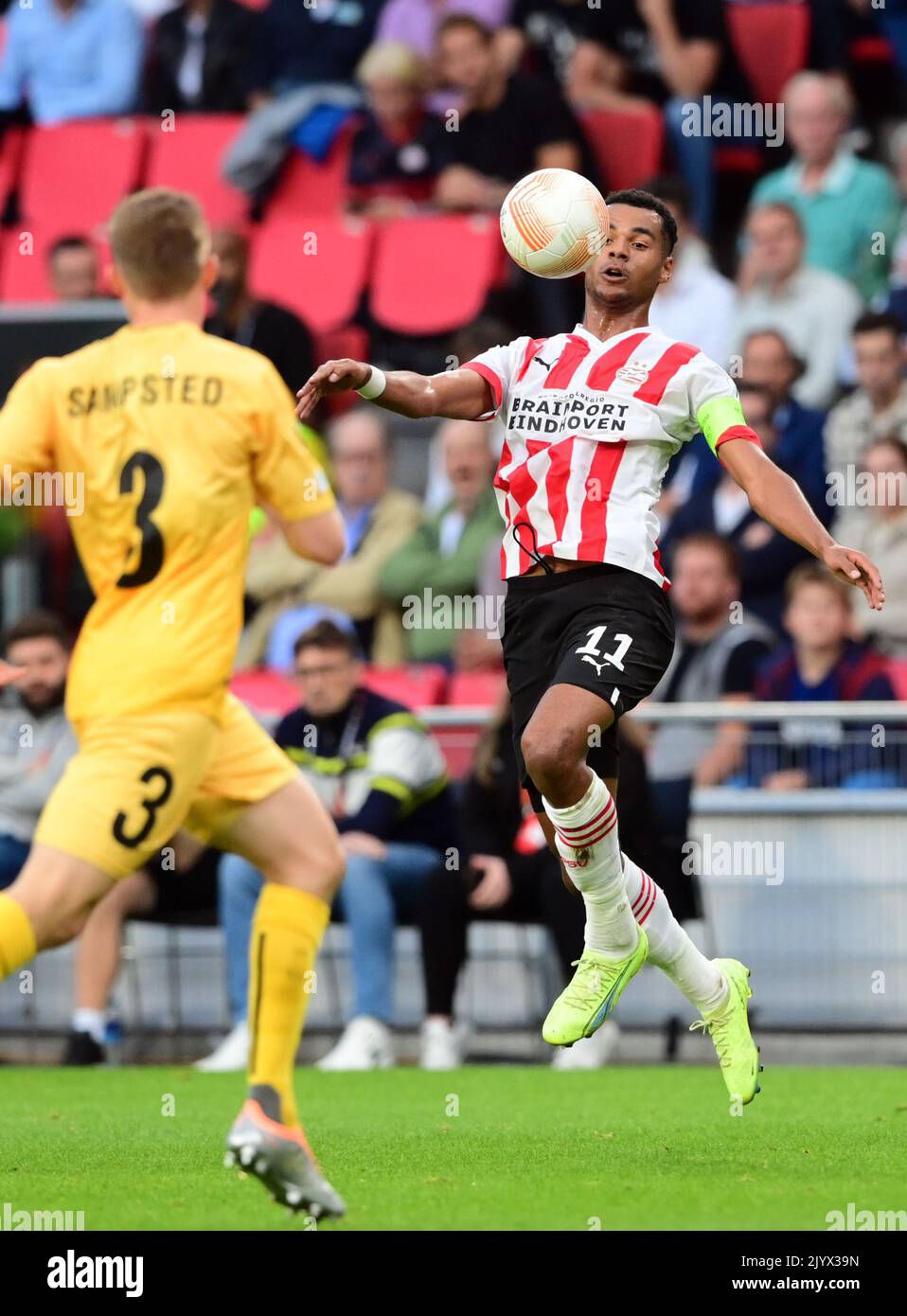 EINDHOVEN - Cody Gakpo du PSV Eindhoven lors du match de l'UEFA Europa League entre le PSV Eindhoven et le FK Bodø/Glimt au stade Phillips sur 8 septembre 2022 à Eindhoven, pays-Bas. ANP OLAF KRAAK Banque D'Images