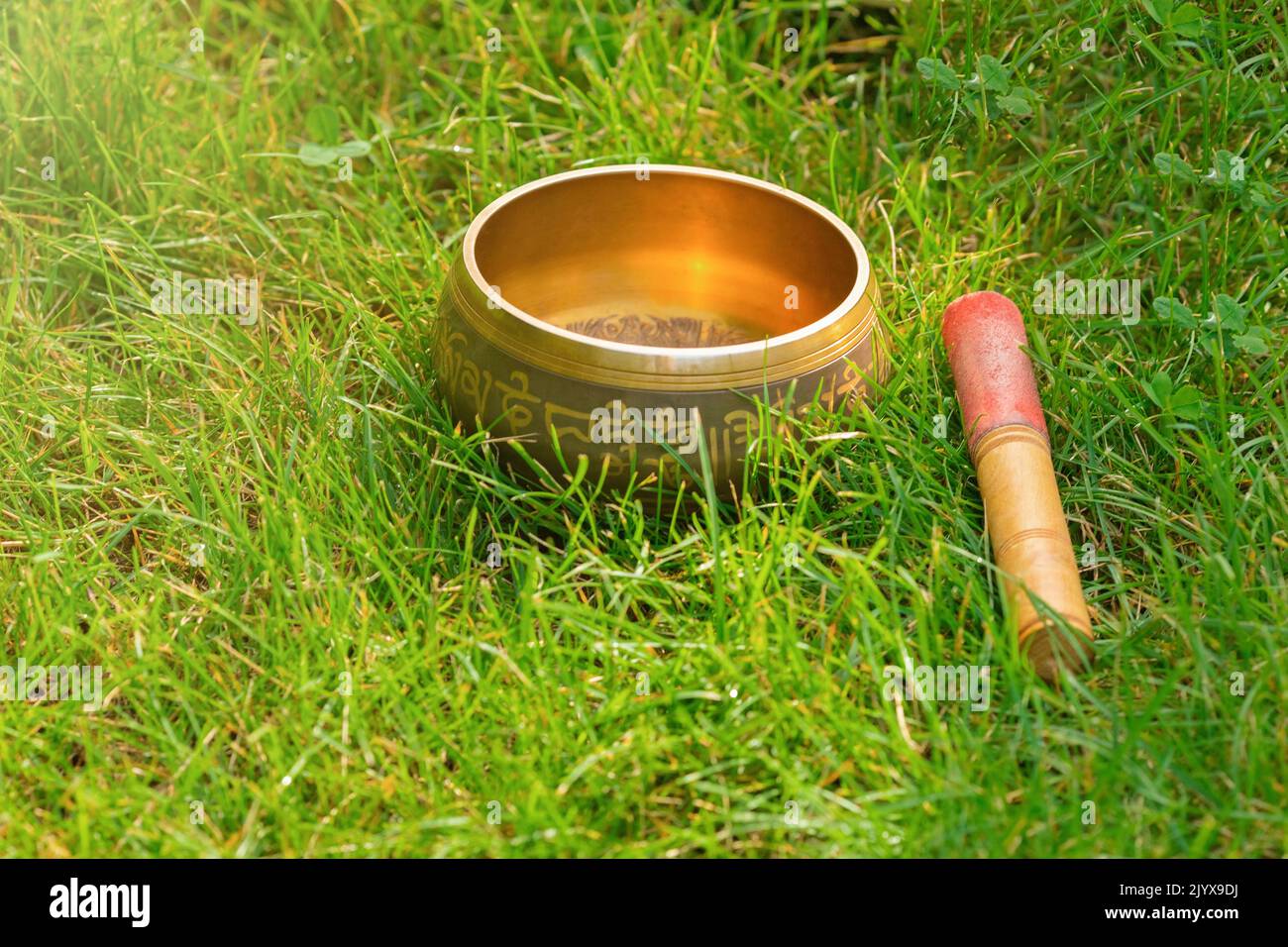 Un bol de chant tibétain est placé dans l'épaisse herbe verte. Banque D'Images