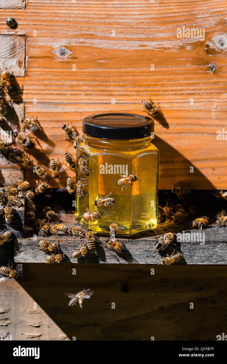 Petit pot de miel devant une ruche d'abeille avec des abeilles rampant sur le pot Banque D'Images
