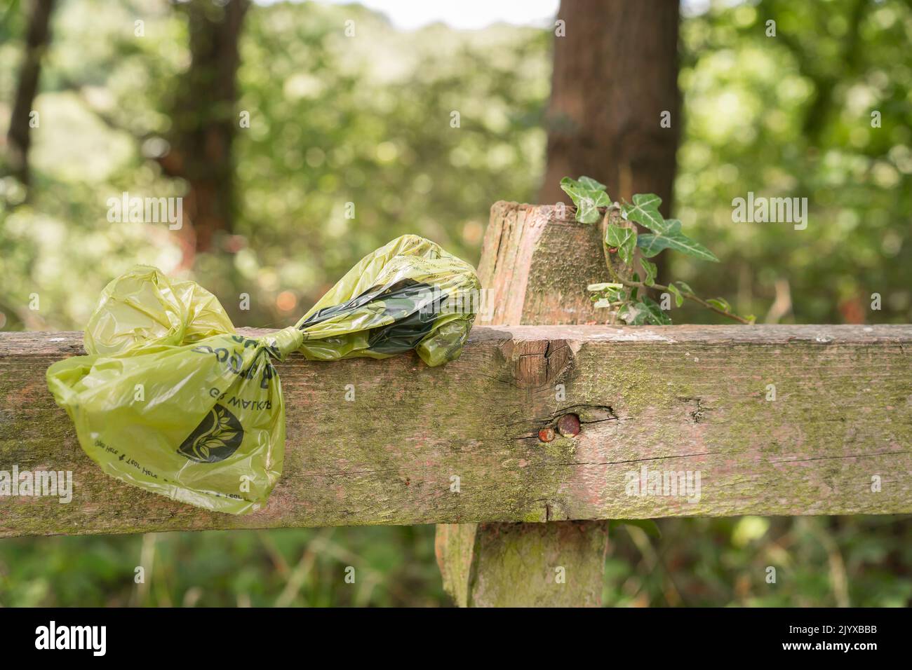 Gros plan, sac en plastique isolé de pooing pour chiens aimablement laissé par les propriétaires de chiens irresponsables sur une clôture en bois dans un coin de beauté rural, Royaume-Uni Country Park. Banque D'Images