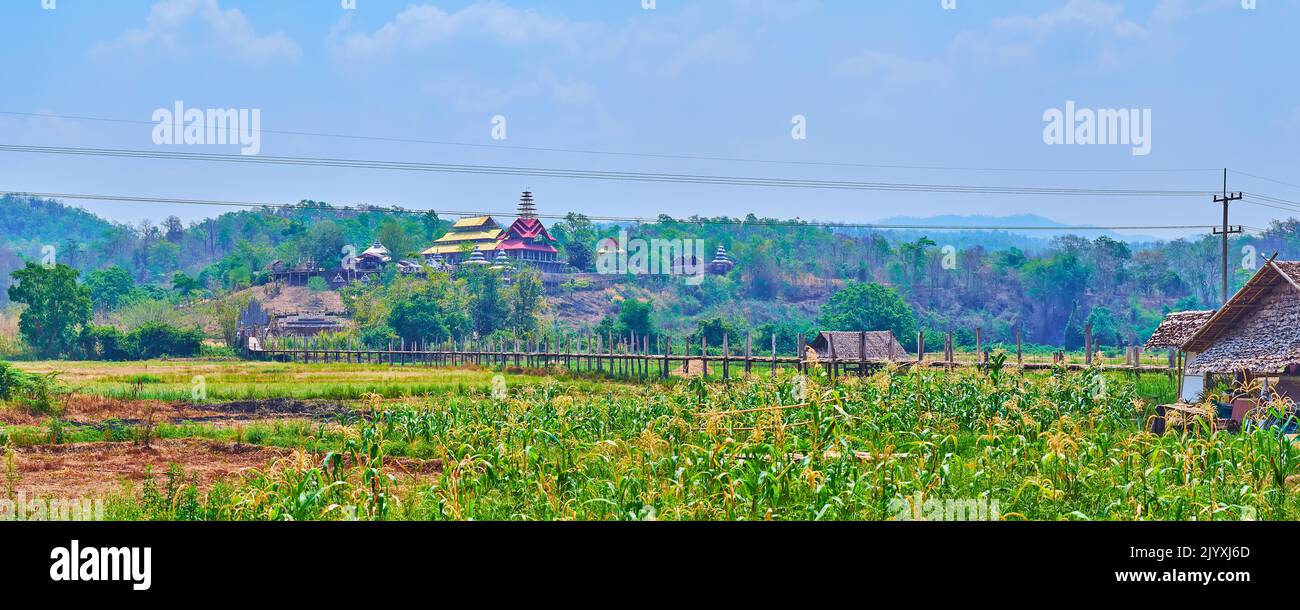 Le champ luxuriant avec l'ancien pont de bambou su Tong PAE, reliant le village avec le temple Wat Tham Poo sa Ma, vu sur la colline, la banlieue de Mae Hong son, Thail Banque D'Images