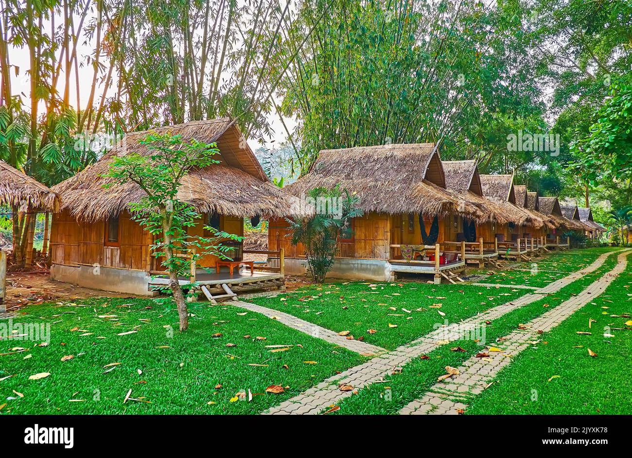 La ligne de petites huttes de bambou sur la pelouse verte avec des épaississants de bambou en arrière-plan, Pai, Thaïlande Banque D'Images