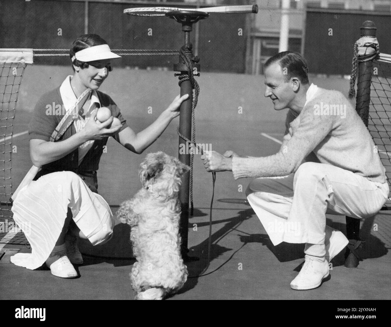 Champion's PET Dog -- Mme Helen Wills Moody, est liée au poste de la cour quand le champion du monde pratique à San Francisco. Aussi dans la photo est Phil Neer, qui joue fréquemment avec Mme Wills Moody. Ce dernier est en formation continue pour maintenir la forme qui lui a gagné le titre de Wimbledon. 13 janvier 1936. Banque D'Images