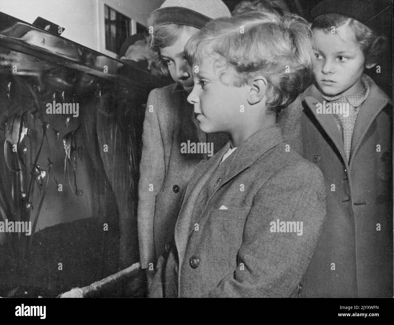 Ces poissons merveilleux quand le prince héritier Carl Gustaf de Suède a assisté à l'ouverture d'une exposition d'aquariums à Stockholm samedi, il a pris sa sœur, Princes Christian, et ses enfants avec lui. Expositions de photos: Émerveillez-vous sur leurs visages, les enfants contemplez la Reine du poisson en exposition à l'exposition. 20 octobre 1952. (Photo de Paul Popper photo) Banque D'Images