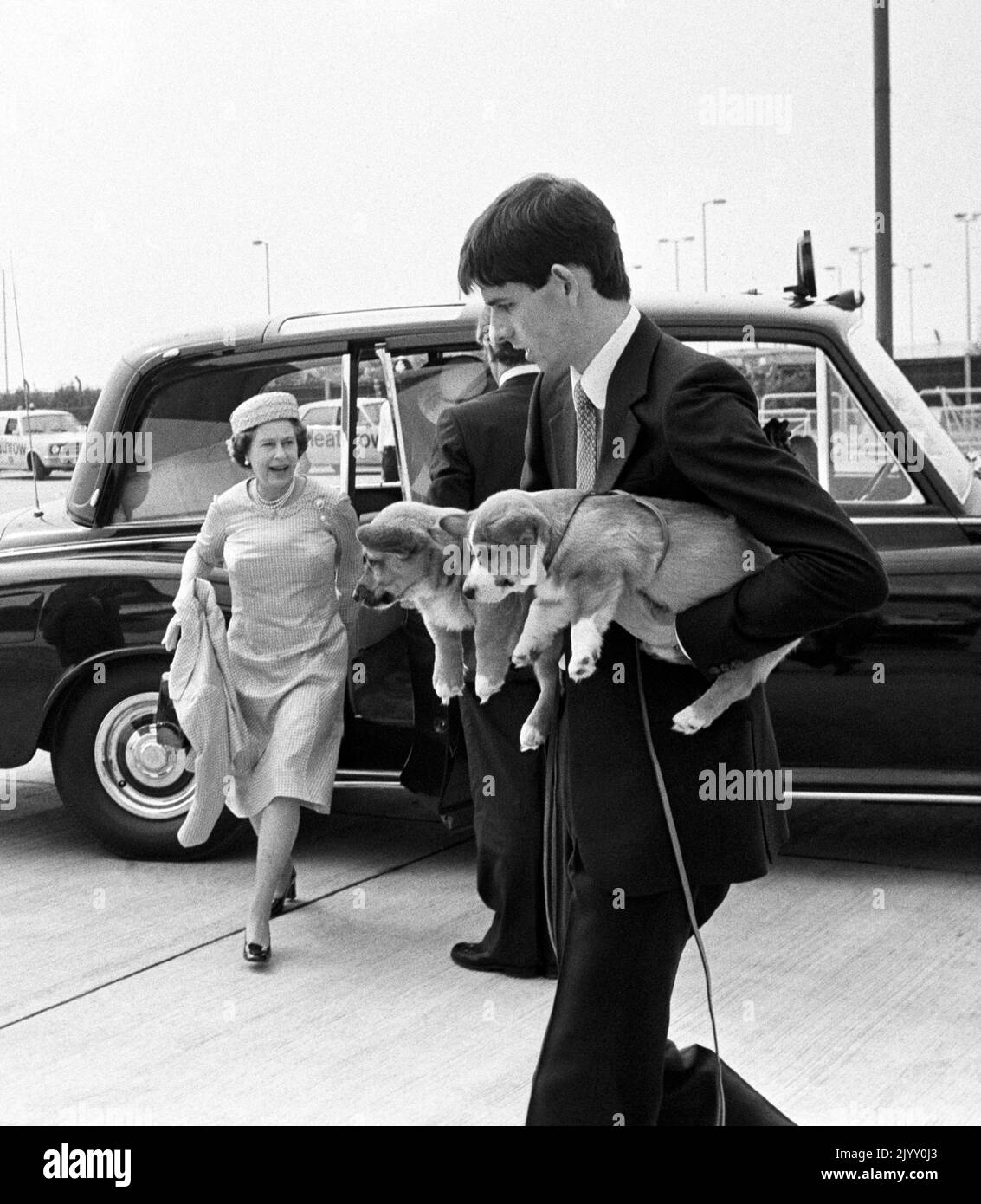 Photo du dossier datée du 5/8/1981 des chiots de Corgi transportés à un Andover du vol de la Reine alors que la Reine est arrivée à l'aéroport de Londres Heathrow pour embarquer dans l'avion pour son vol à Aberdeen et le début de ses vacances annuelles à Balmoral. Pendant son règne, la Reine possédait plus de 30 corgis, dont beaucoup de descendants directs de Susan, qui lui a été donné comme cadeau de 18th ans par ses parents en 1944 et a été tellement aimée qu'elle a accompagné la princesse Elizabeth lors de sa lune de miel. Date de publication : jeudi 8 septembre 2022. Banque D'Images