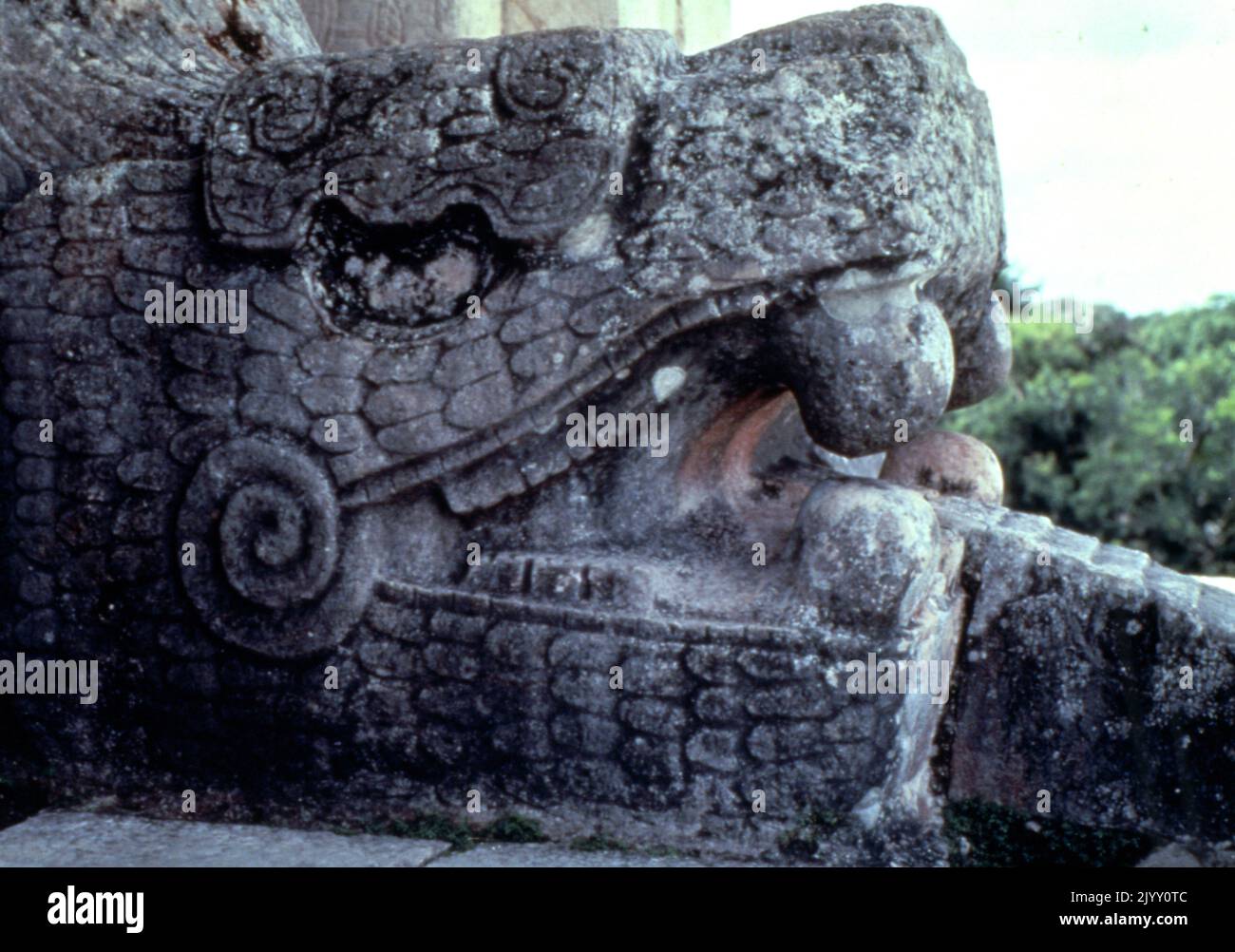 Relief représentant des joueurs de balle à la Grande salle de bal de Chichen Itza, une ville pré-colombienne construite par le peuple Maya de la période du terminal Classic. Chichen Itza a été un point focal majeur dans les basses terres du Nord Maya de la fin du Classic (c. AD 600-900), dans la partie précoce de la période classique de la poste (c. ANNONCE 900-1200). Le Great ball court a été utilisé pour jouer au jeu de ballon Mesoamerican. C'est le plus grand et le mieux conservé terrain de balle de l'ancienne Mésoamérique.[41] il mesure 168 par 70 mètres (551 par 230 pieds). Banque D'Images