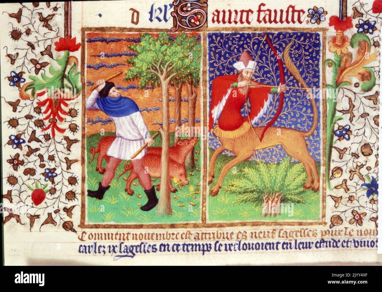 Nourrir les porcs: Sagitarius des heures de Bedford; livre français médiéval tardif des heures. Il date du début du XVe siècle (c. 1410-30); certaines de ses miniatures, y compris les portraits du duc et de la duchesse de Bedford, ont été attribués au Maître de Bedford et à son atelier à Paris. Le programme de décoration dans les heures de Bedford est un exemple remarquable d'illumination médiévale tardive. Banque D'Images