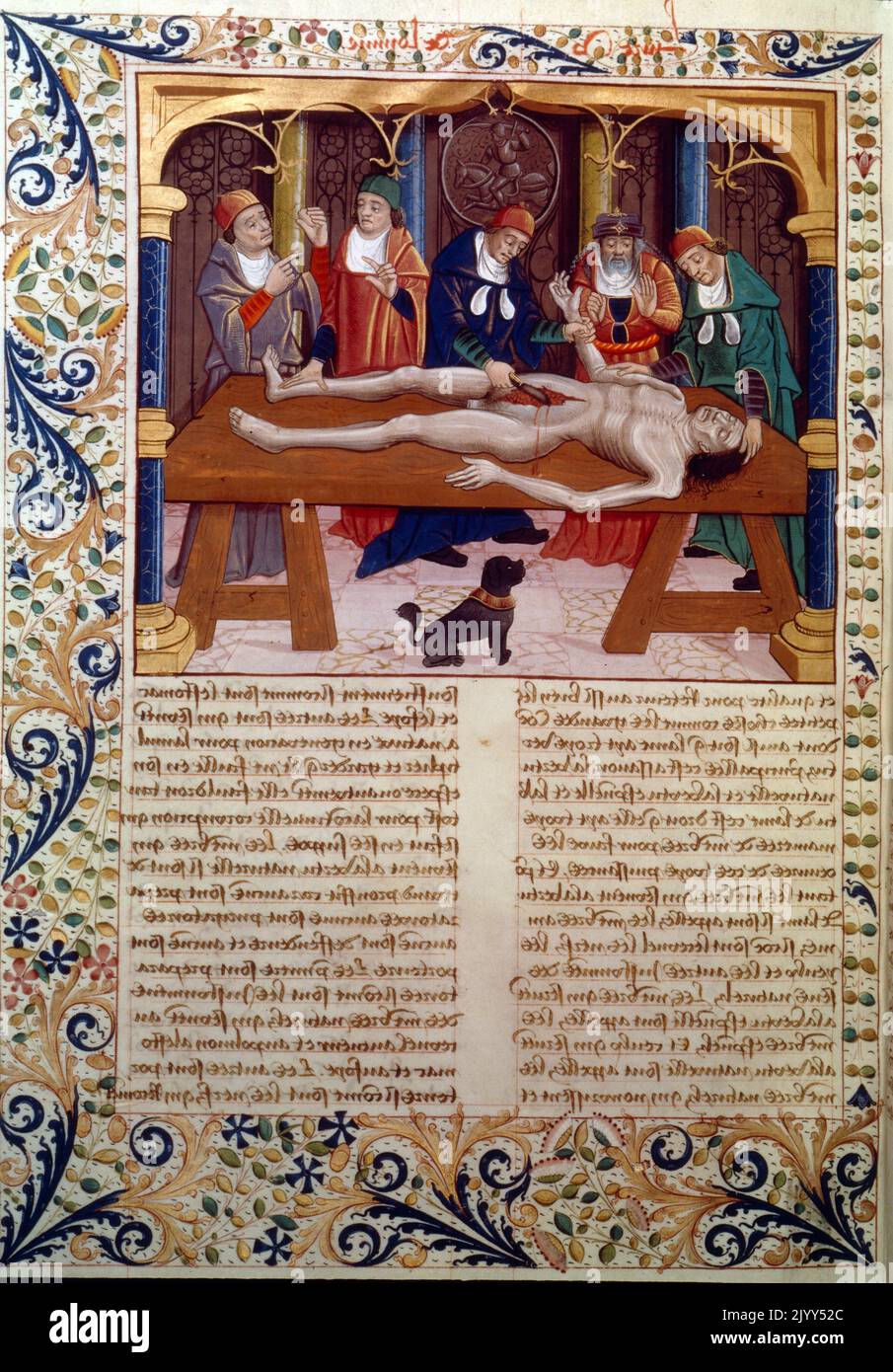 Illustration médiévale d'une autopsie réalisée au Moyen âge. Du manuscrit français "les propriétés des choses" de Bartholomaeus Anglicus, fin 15th siècle Banque D'Images
