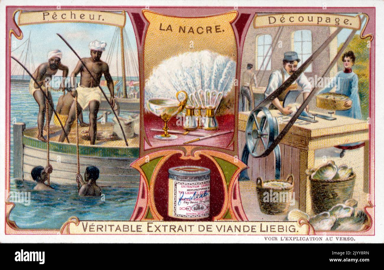 Publicité pour les produits Liebig; le processus de pêche et d'extraction de la nacre. Banque D'Images