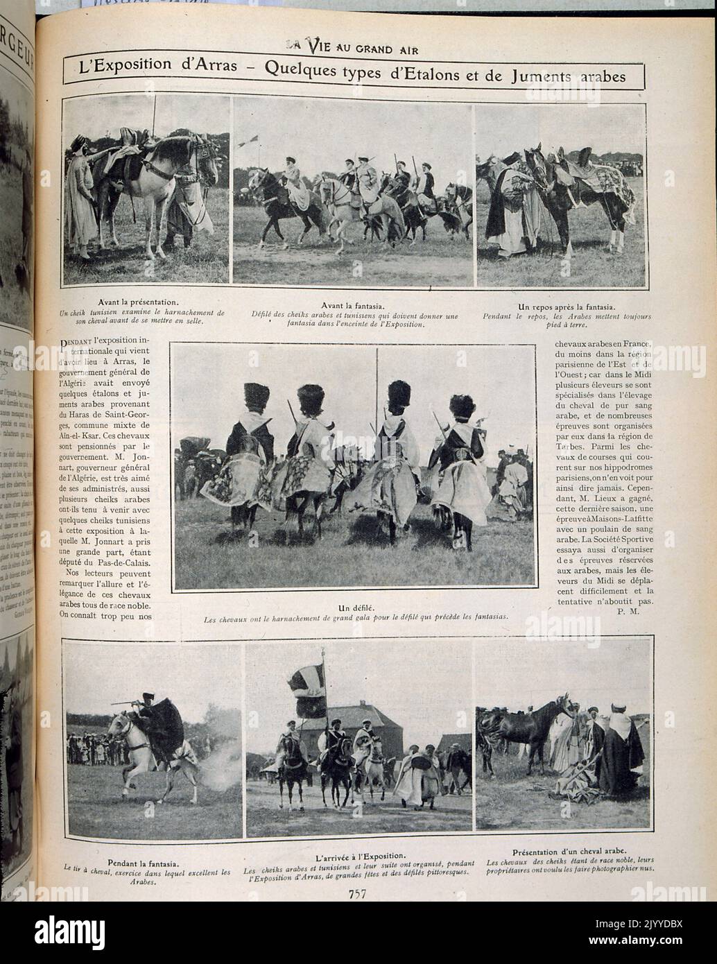 De la revue la vie au Grand Air (la vie en plein air); photographies en noir et blanc de jeunes étalons et de jeunes chevaux arabes à l'exposition d'Arras. Banque D'Images