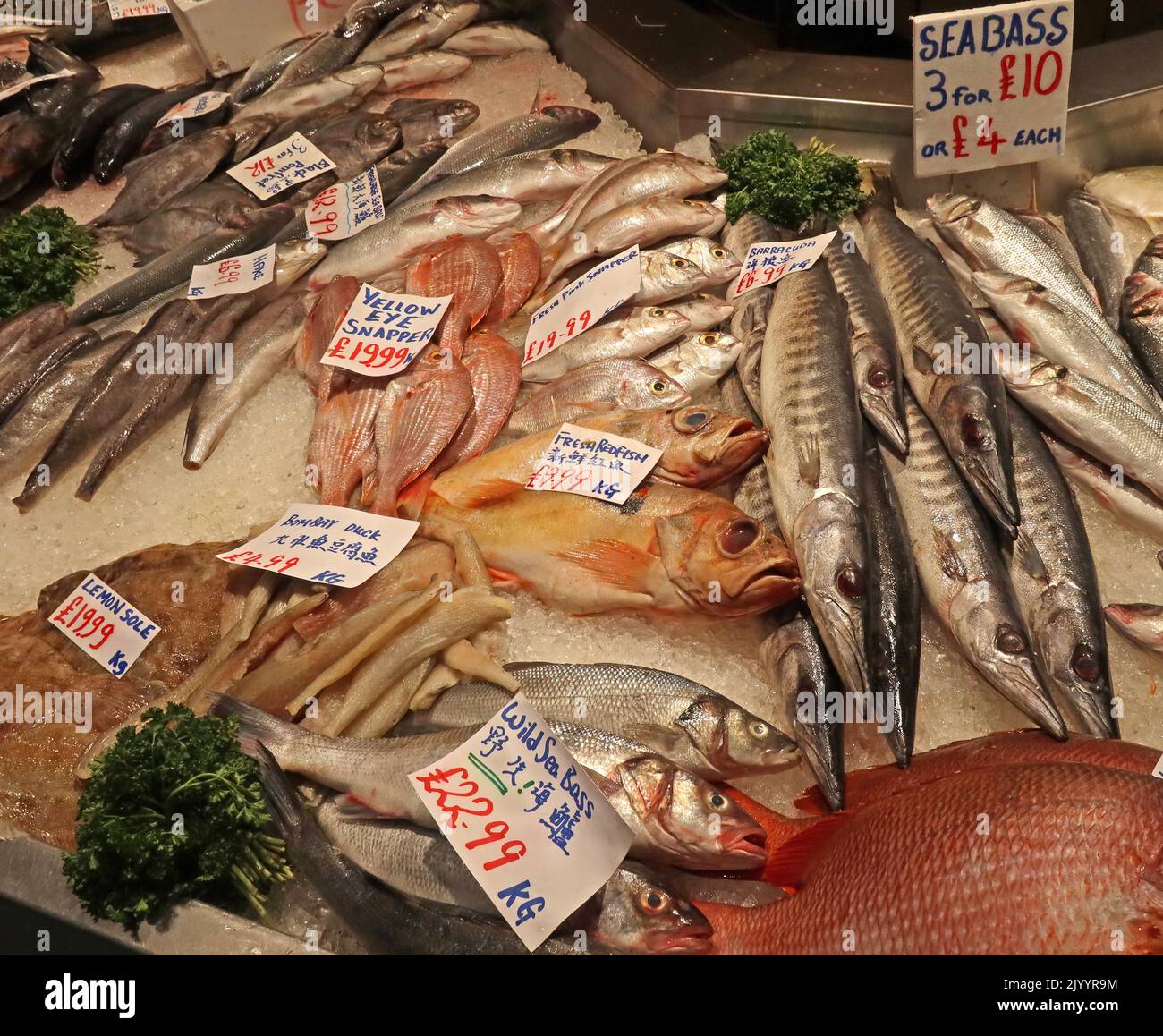 Marché intérieur de Manchester Fishmonger, Fresh Fish Daily, Whales Fish stall, Arndale Centre, High St. Manchester, Angleterre, Royaume-Uni, M4 2HU Banque D'Images