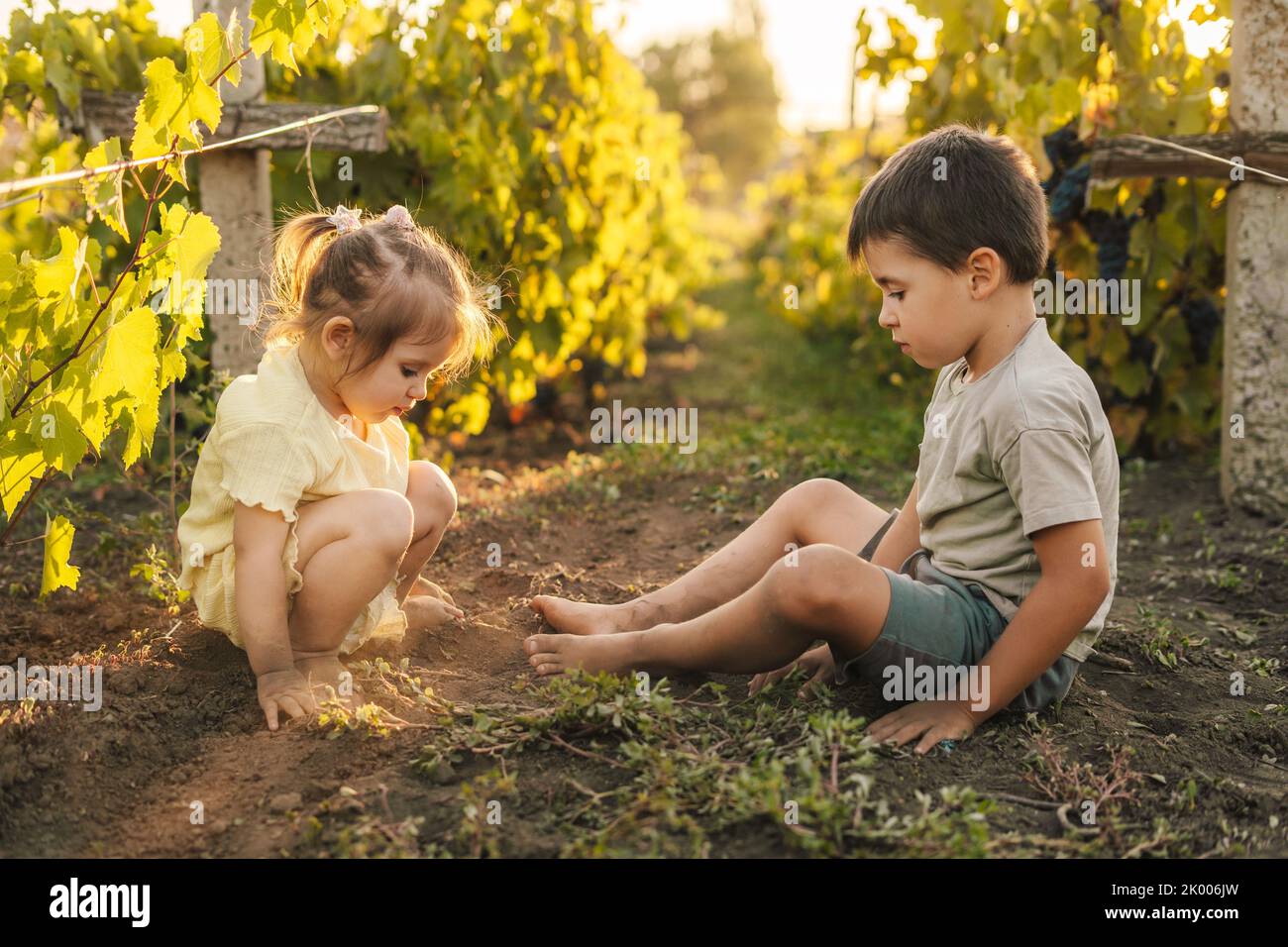 Deux enfants caucasiens jouant sur le terrain dans le vignoble attendant que leurs parents terminent le jardinage. Concept de famille. Agriculture de la nature. Jardinage Banque D'Images