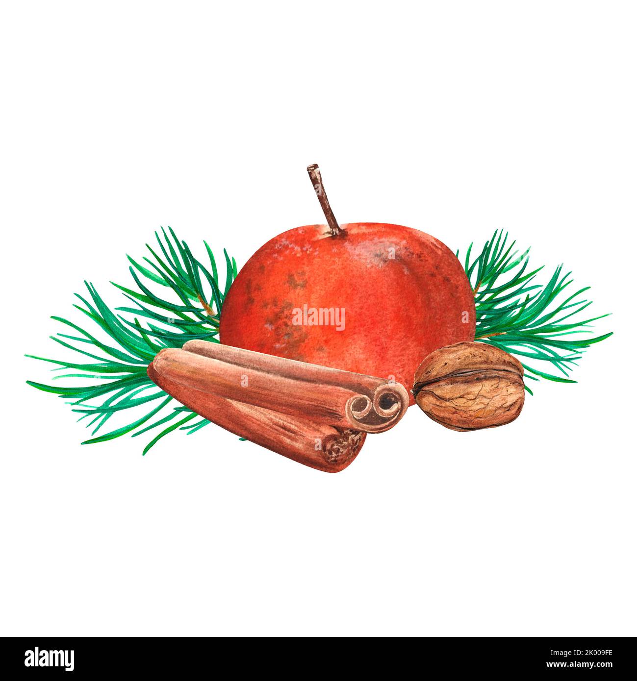 aquarelle représentant le noyer, les mandarines, les bâtonnets de cannelle et la branche d'épinette verte. aquarelle isolée sur fond blanc Banque D'Images