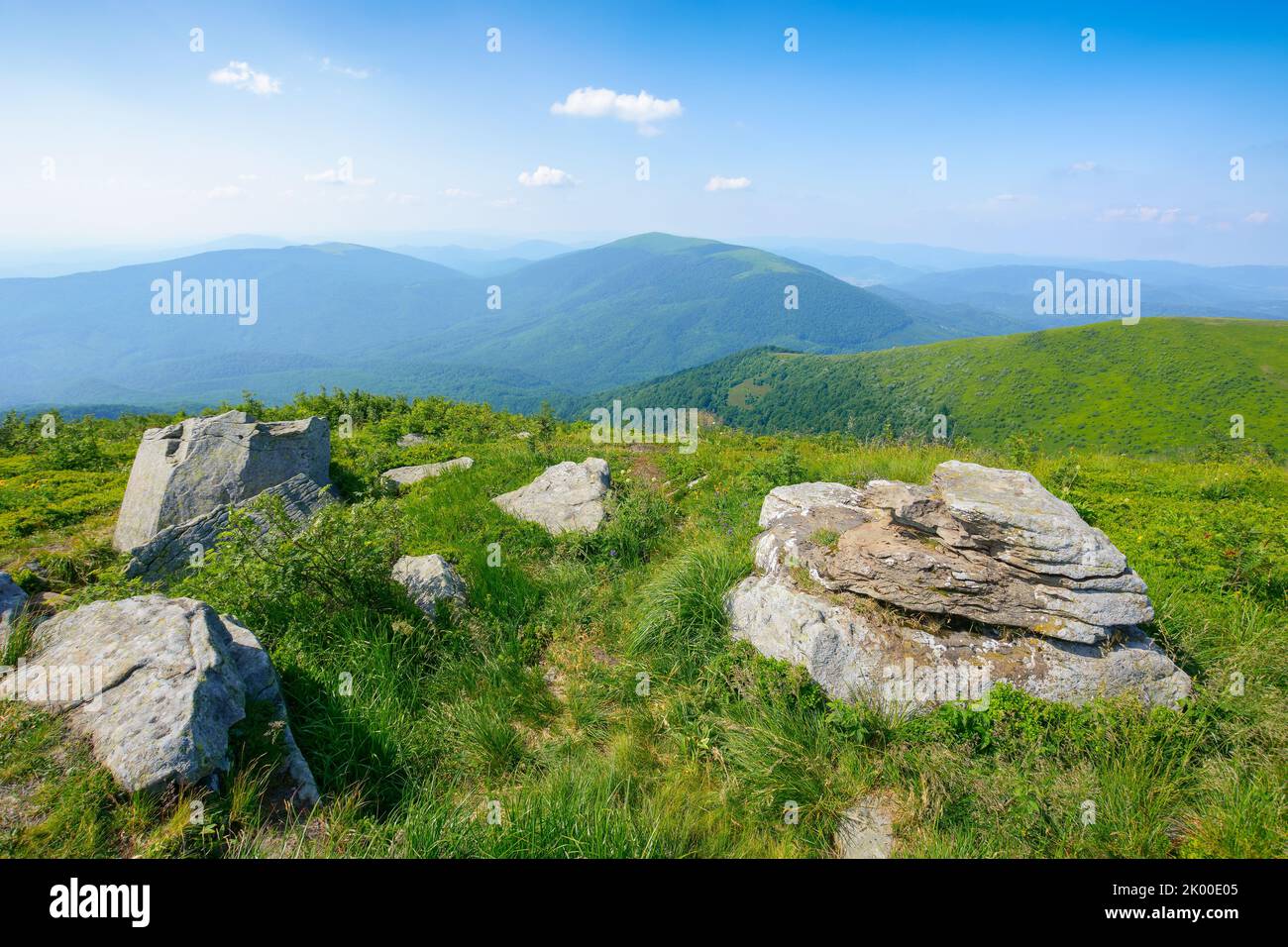 prés alpins carpaliens dans la lumière du soir. magnifique paysage de montagne avec des pierres au milieu de l'herbe, des arbres sur les collines et des vallées profondes. magnifique vi Banque D'Images