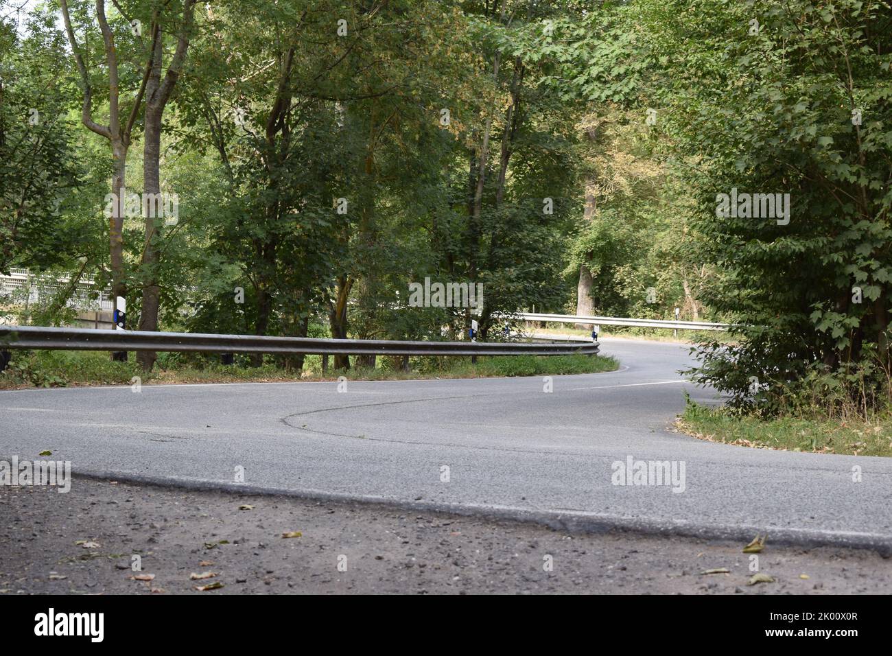 route sinueuse dans la forêt verte Banque D'Images