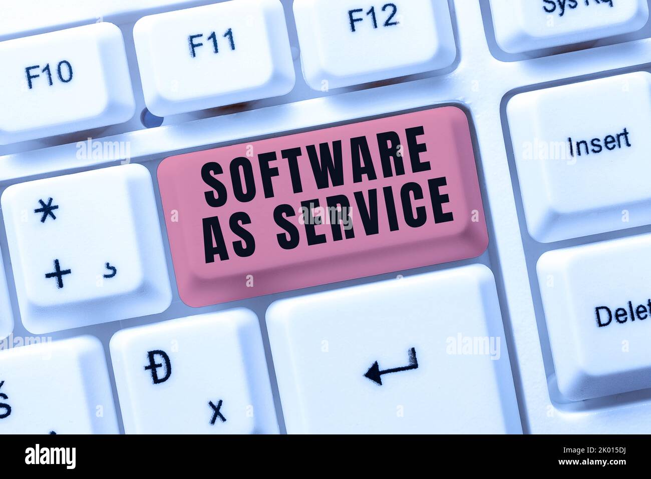 Écriture de texte affichant le logiciel en tant que service. Présentation de l'entreprise à la demande sous licence sur abonnement et hébergée de manière centralisée Banque D'Images