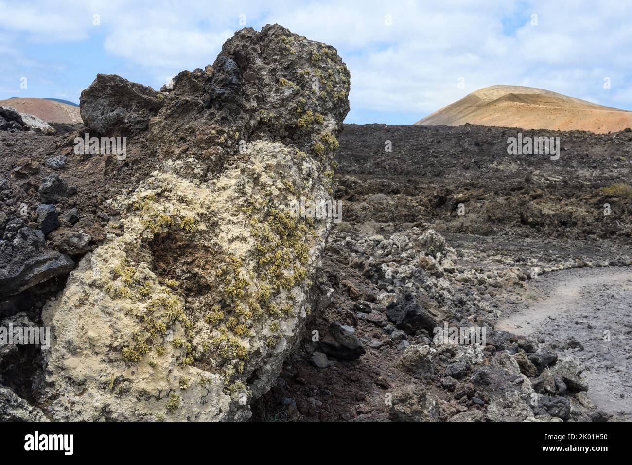 Détail des lichens couvrant les roches volcaniques de Lanzarote Banque D'Images