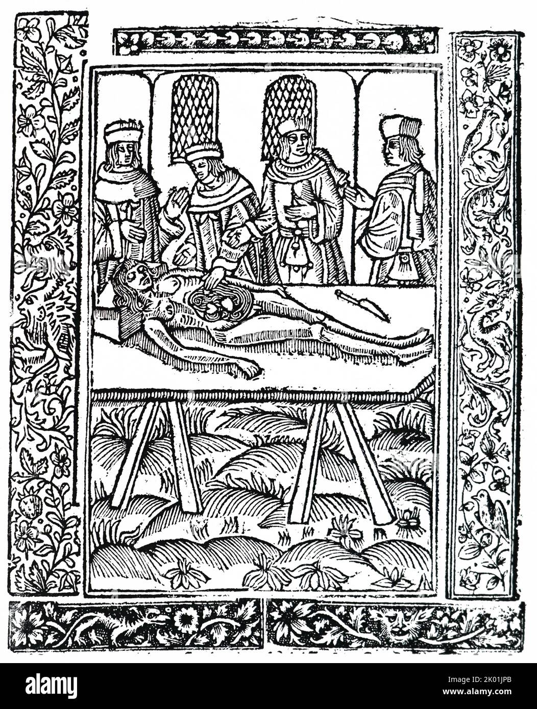 Une dissection. D'une coupe de bois du début du 16th siècle. Banque D'Images