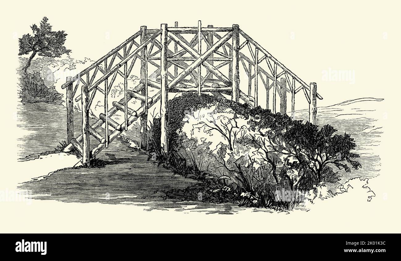 Une ancienne gravure victorienne d'un design pour un rustique, bois, passerelle de jardin. Il est d'un livre de 1890. Ici, le pont s'étend sur une clôture de couverture. Les marches ouvertes ne semblent pas aussi confortables, ni aussi sûres, sous le pied ! Banque D'Images