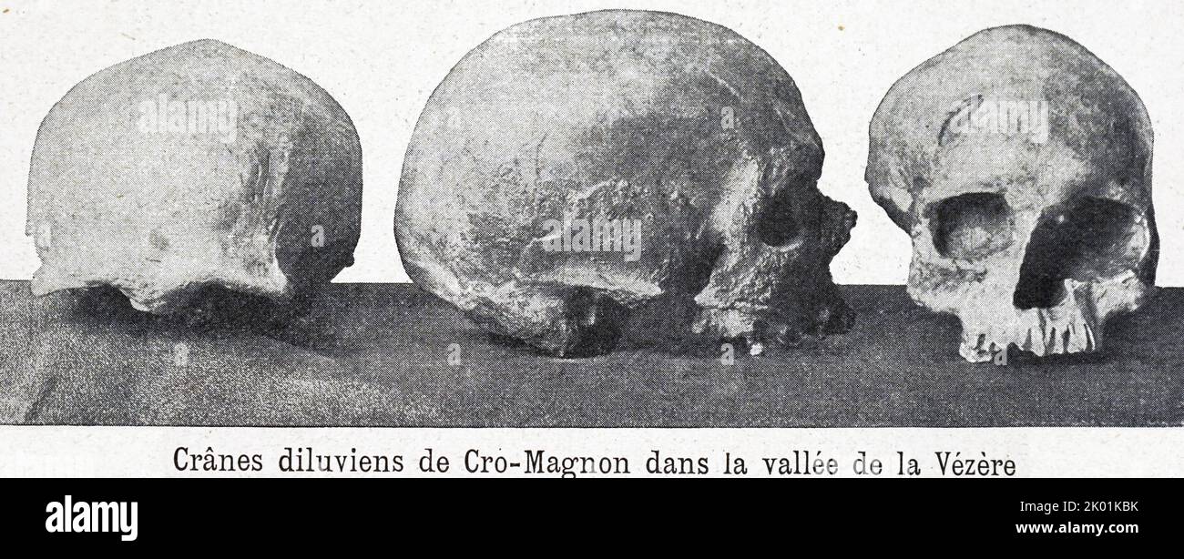 Man. CRO-Magnon. Banque D'Images