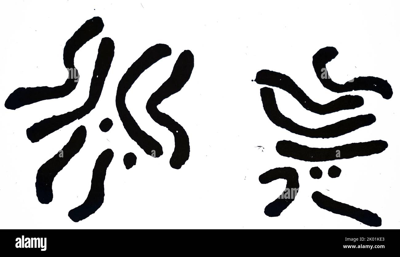 Chromosomes de Pomace Fly. La drosophilie amppellophila. Enquête menée par Thomas Hunt Morgan en Amérique, de RC Punnet, Mendelism, Londres, 1922. Banque D'Images