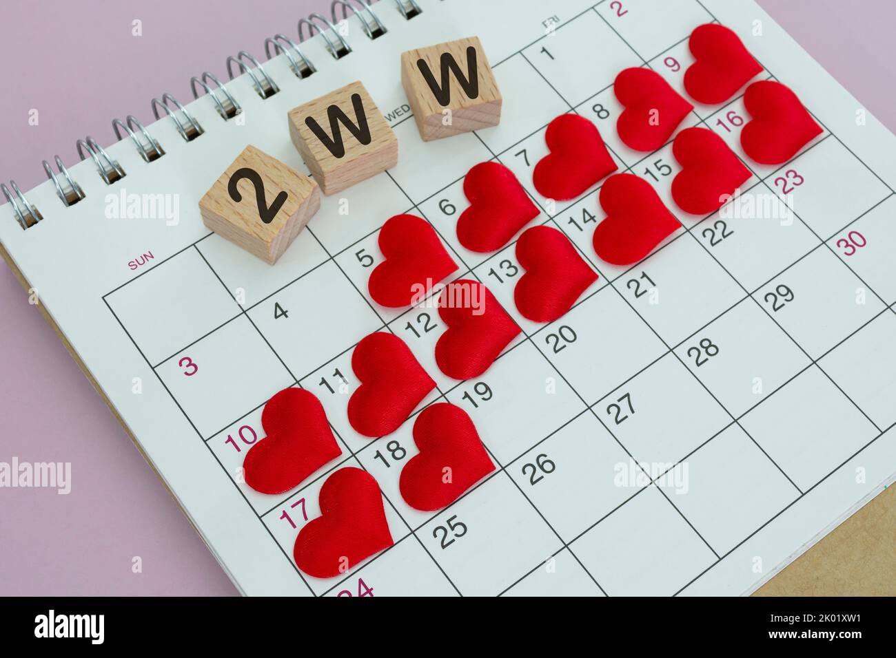 2WW mots sur bloc de bois avec coeur rouge sur le calendrier. Survivre les deux semaines attendez quand vous essayez de concevoir. Banque D'Images