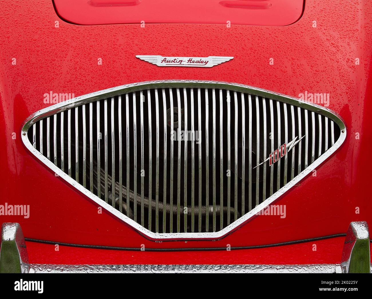 Austin-Healey 100 radiateur Grill et badge Banque D'Images