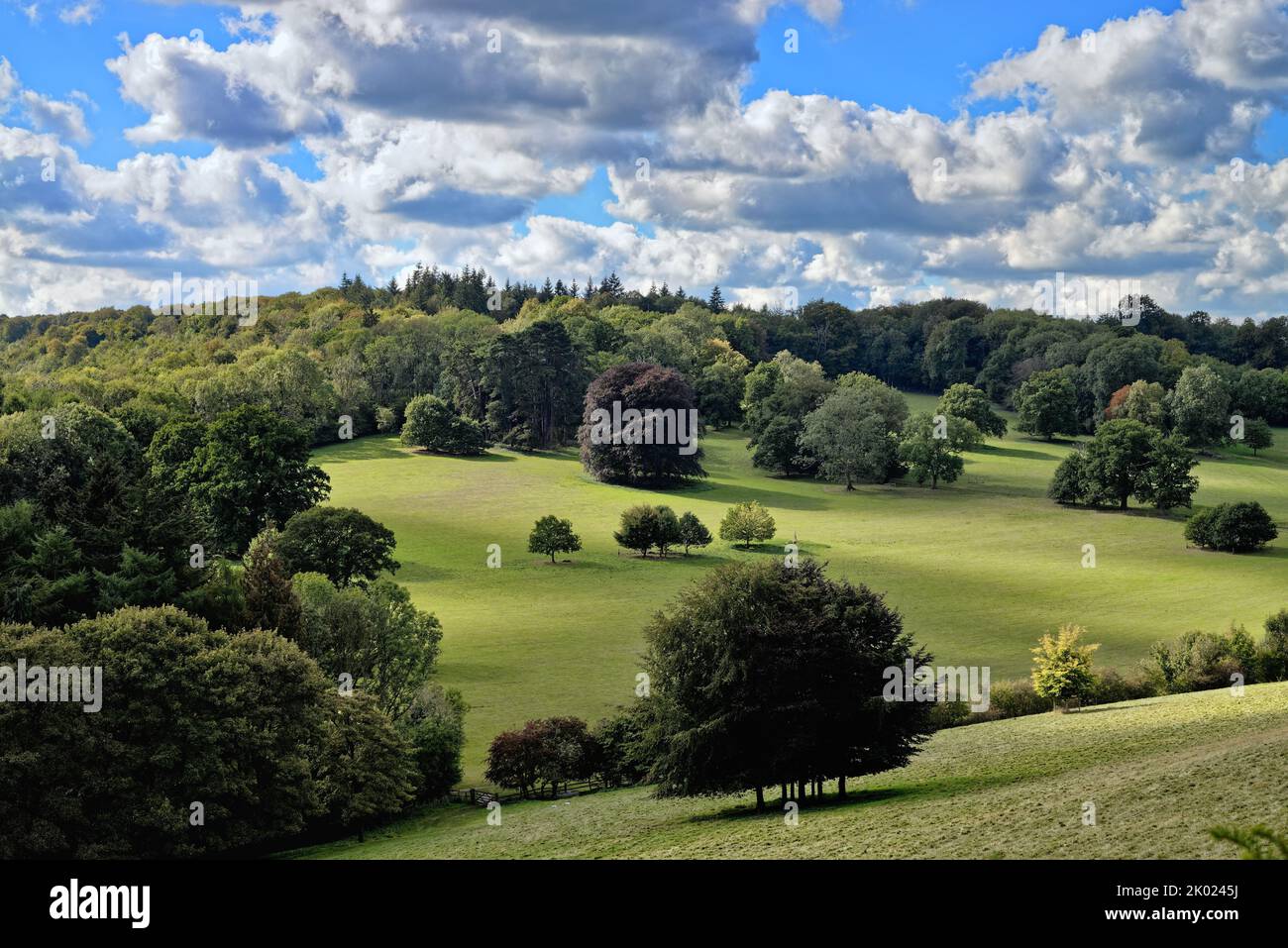 La campagne à Ranmore Common à la fin d'un jour d'été dans les collines de Surrey, Angleterre Banque D'Images