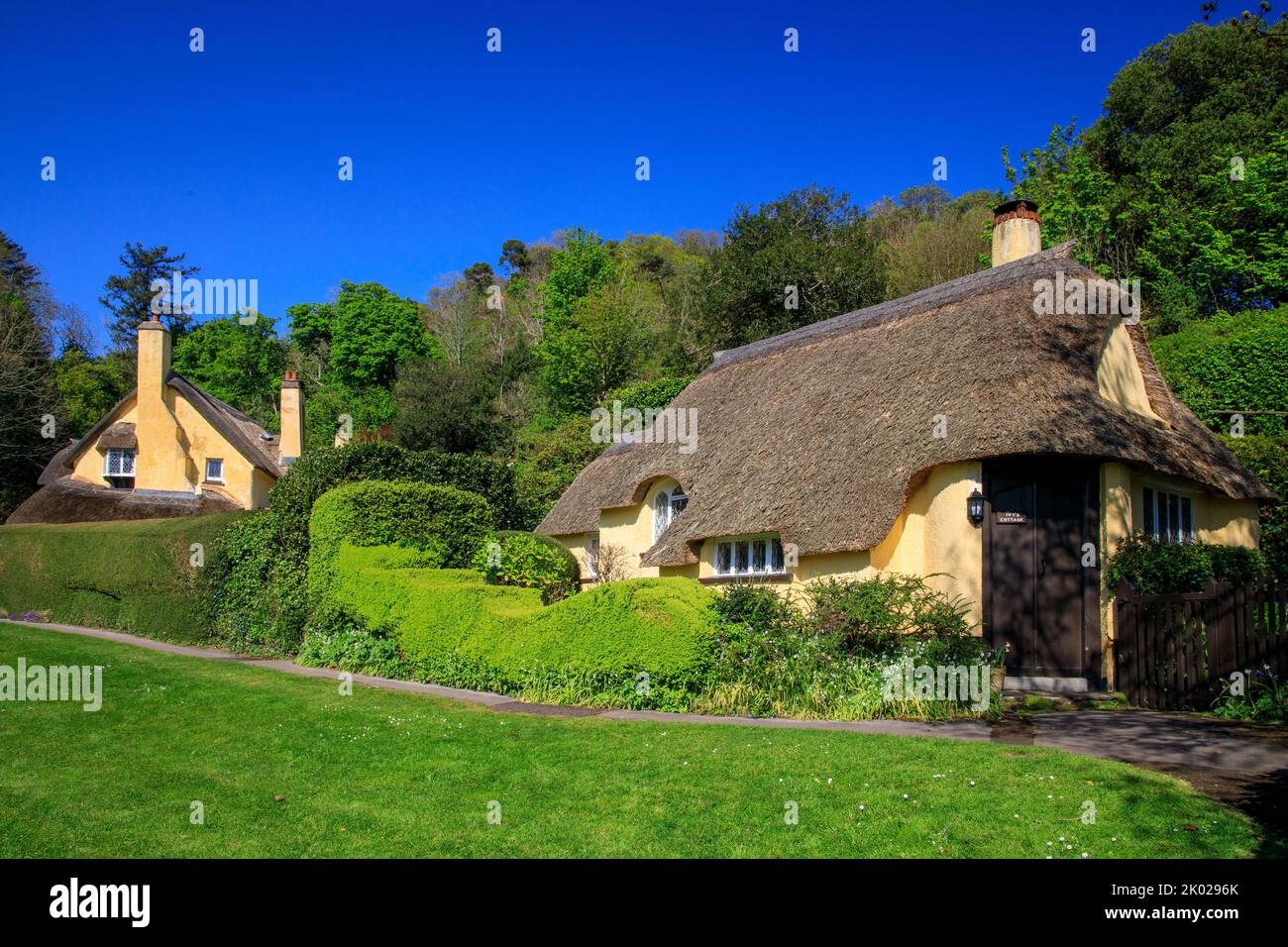 Ivy's Cottage est un charmant cottage de chaume à Selworthy Green sur le domaine Holnicote, Somerset, Angleterre, Royaume-Uni Banque D'Images