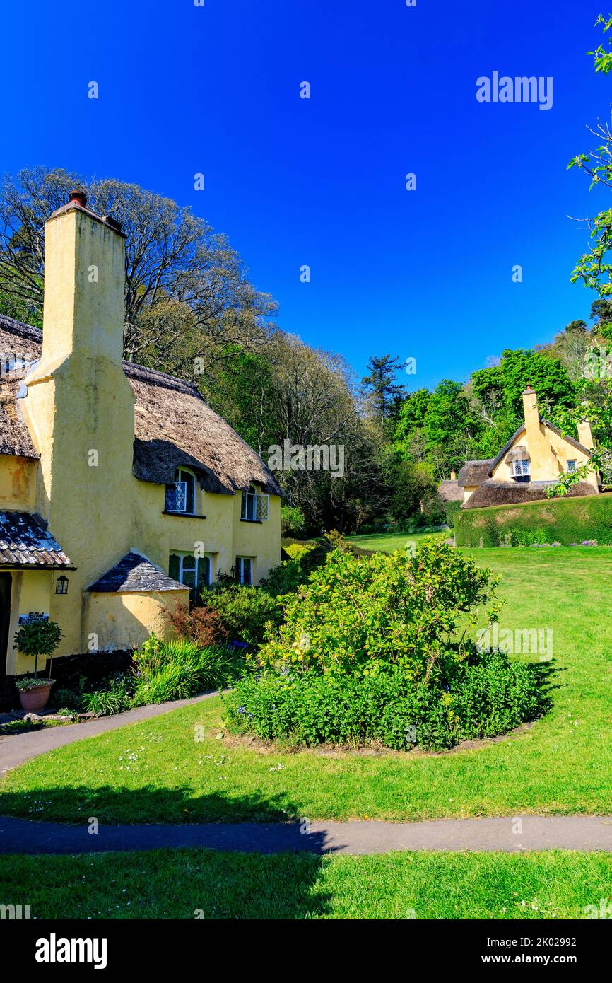 Bow Cottage est un charmant cottage de chaume à Selworthy Green sur le domaine Holnicote, Somerset, Angleterre, Royaume-Uni Banque D'Images