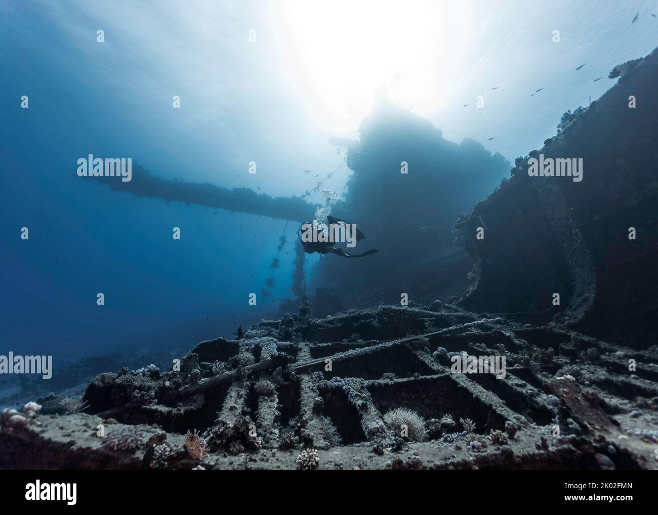 Vue sur la mer d'un plongeur de plongée nageant au loin au-dessus d'une épave de bateau très grande sous l'eau Banque D'Images