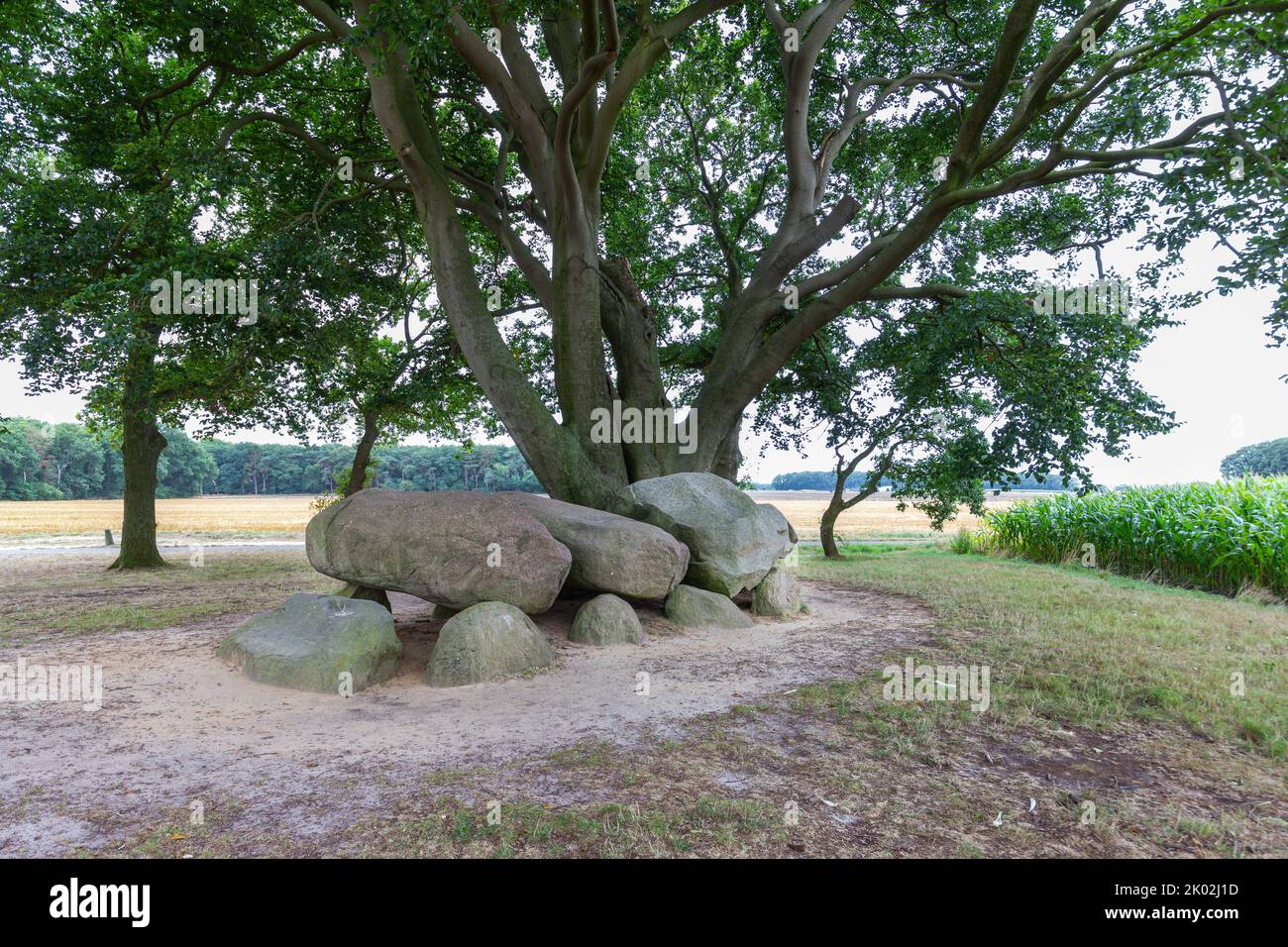 Dolmen D21, Steenakkerweg Bronneger, municipalité de Borger-Odoorn dans la province néerlandaise de Drenthe est un tombeau néolithique et un monum historique protégé Banque D'Images