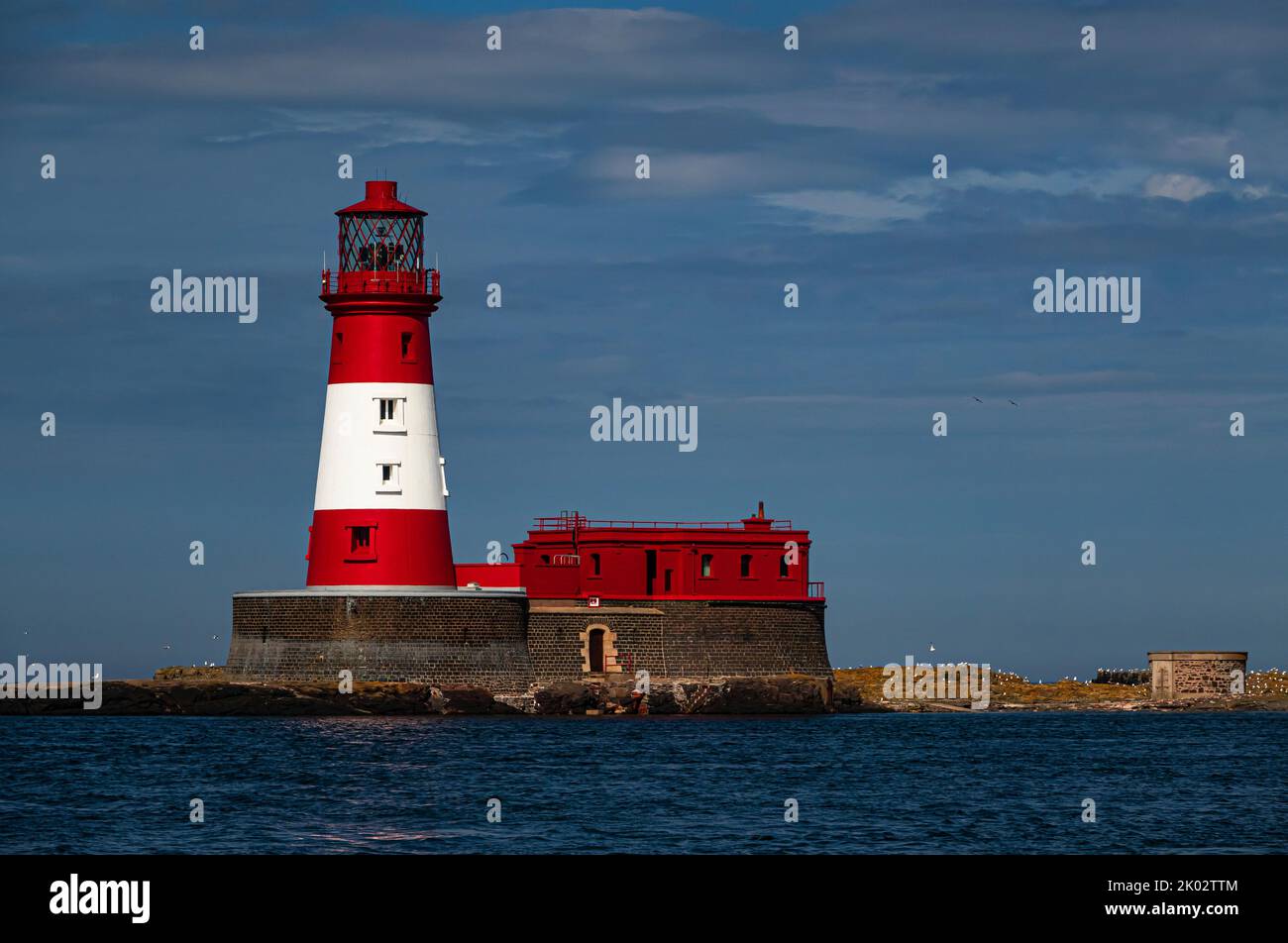 Phare de l'île de LONGSTONE, Îles Farne, Northumberland, Angleterre Banque D'Images