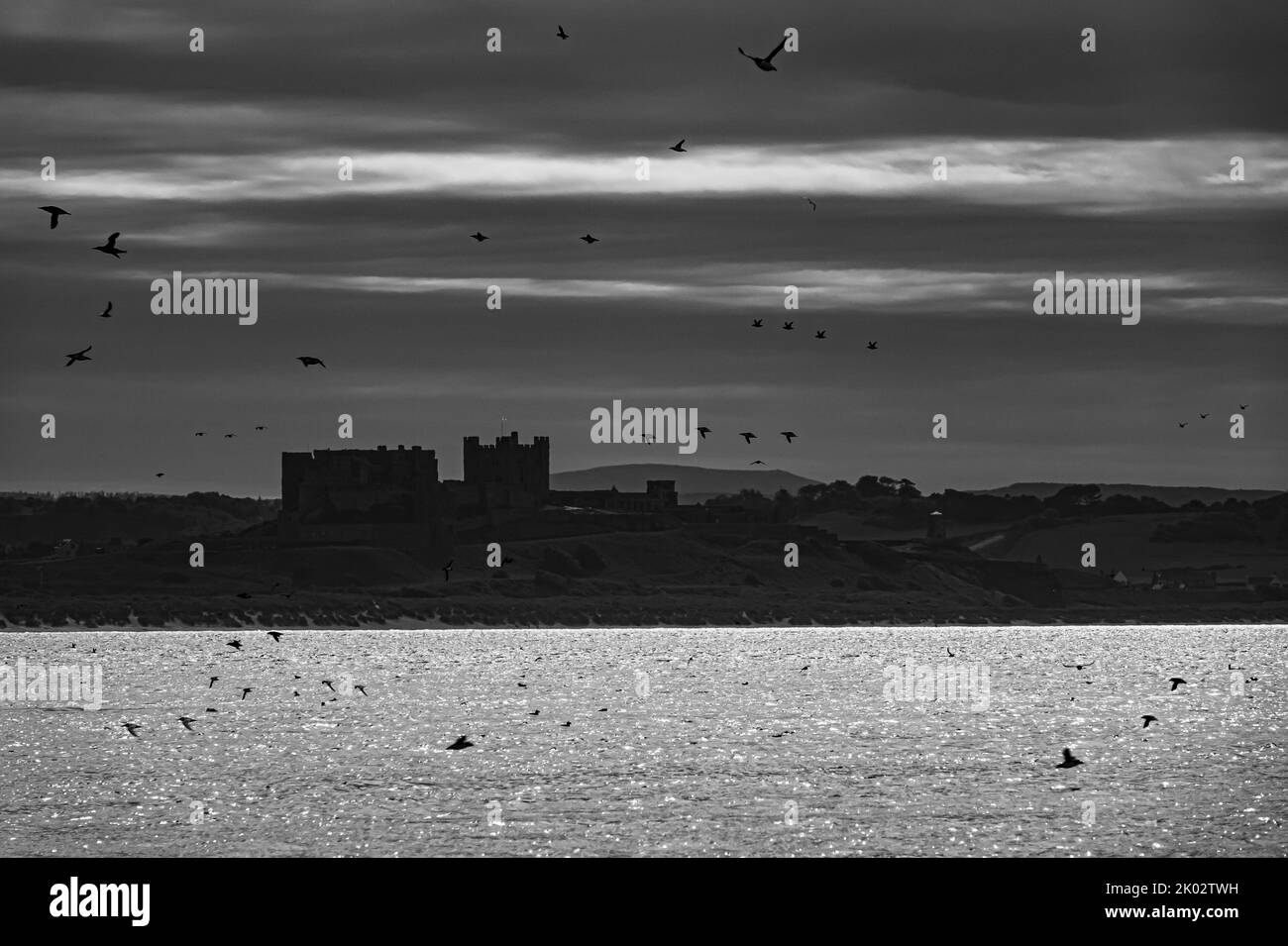 Château de Bamburgh, Northumberland, Angleterre, n/b Banque D'Images