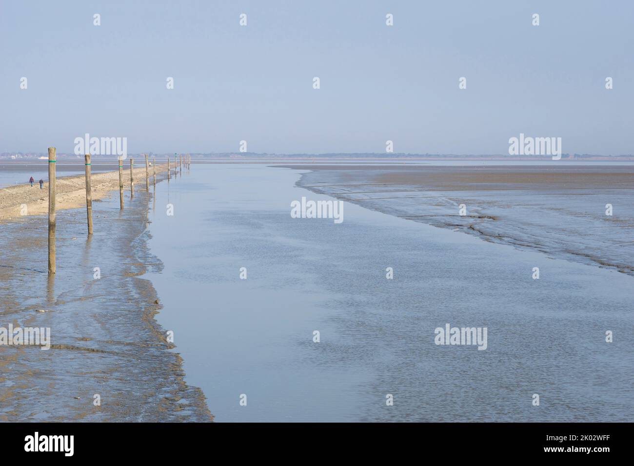 Mer du Nord, plein air, mer, vasières, étendue Banque D'Images