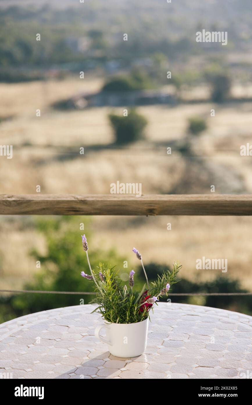 Bouquet de lavande sur une table avec vue sur la vallée Banque D'Images