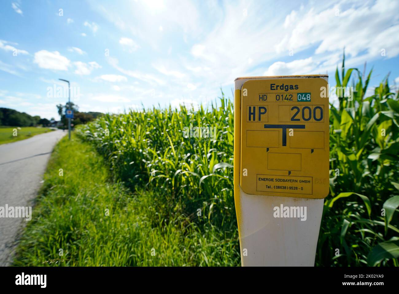 Allemagne, Bavière, haute-Bavière, Altötting Comté, gaz naturel, conduite de gaz, bord de route, champ de maïs, poteau, marquage de pipeline, panneau sur la conduite de gaz naturel Banque D'Images
