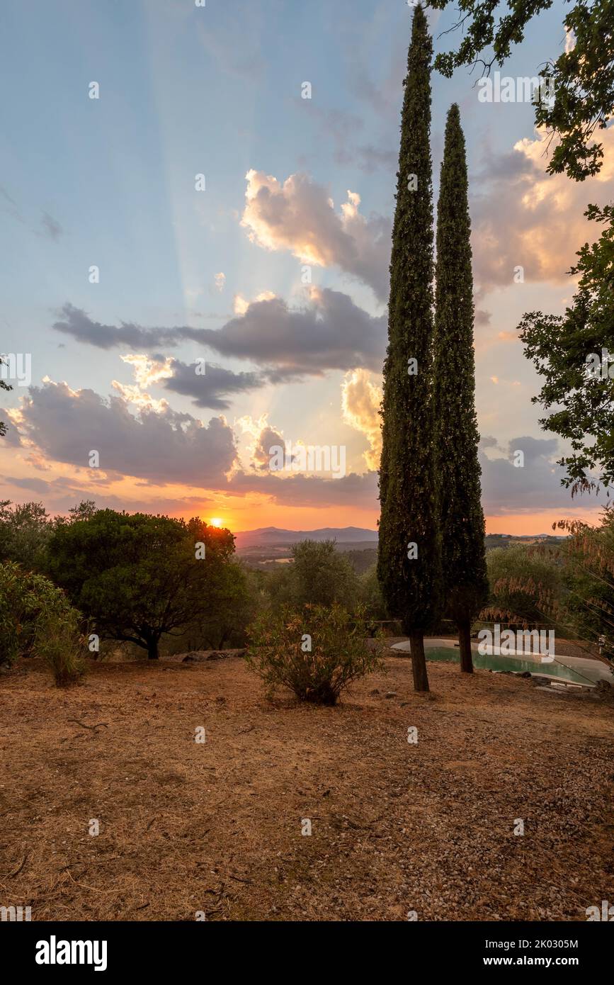 Coucher de soleil sur une ancienne propriété, oliveraie, cyprès, Sasso d'Ombrone, province de Grosseto, Toscane, Italie Banque D'Images