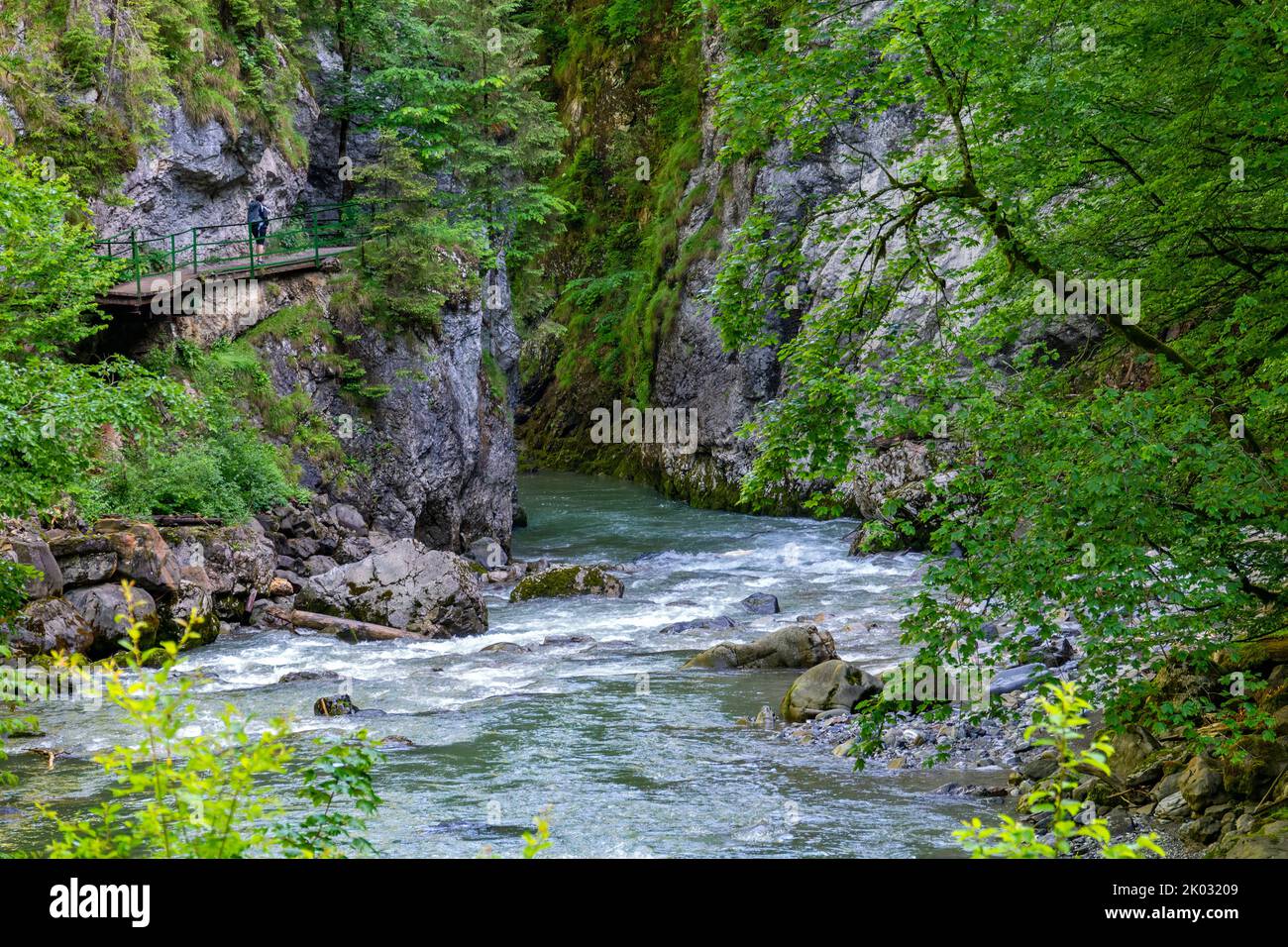 Le Breitachklamm est une gorge créée par le fleuve Breitach dans l'Allgäu près de Tiefenbach, un quartier de la municipalité d'Oberstdorf. Il est d'environ 150m de profondeur et à côté de la Höllentalklamm la gorge la plus profonde des Alpes bavaroises. Vers 300, 000 000 visiteurs font de la randonnée dans les gorges de 2,5 km de long chaque année. Banque D'Images