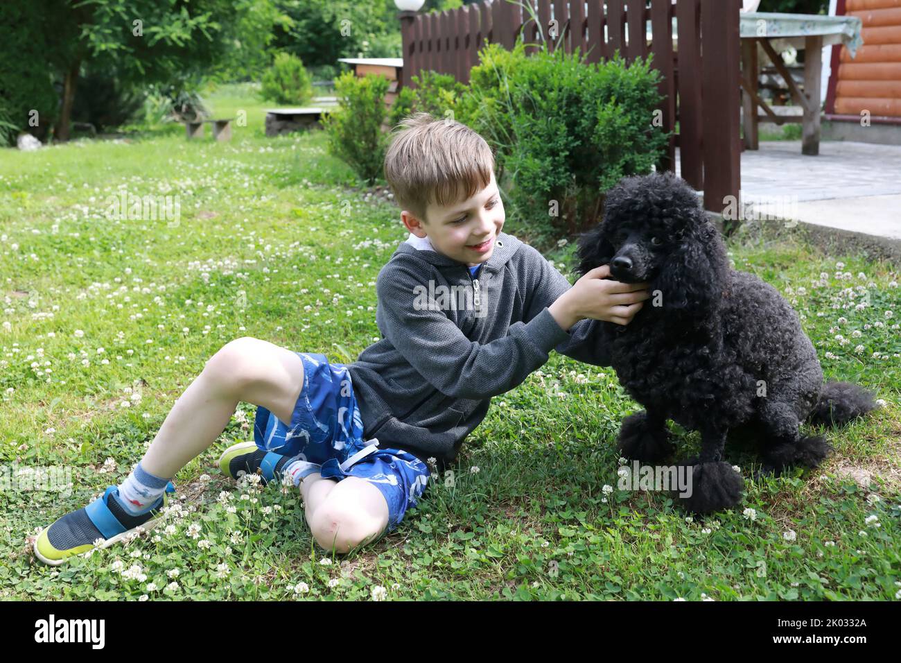 Enfant jouant avec un caniche sur la pelouse en été Banque D'Images