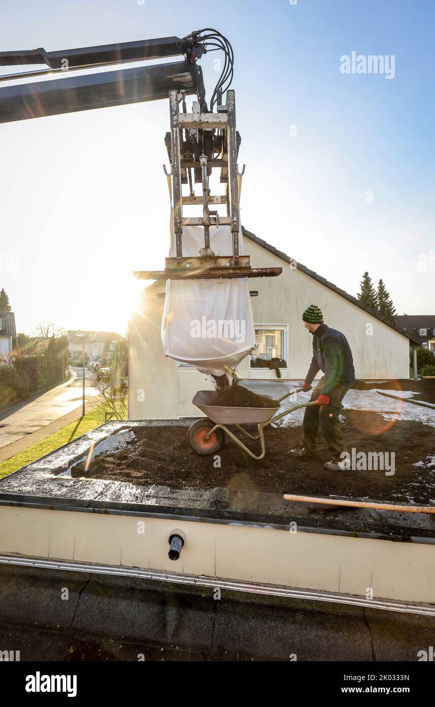 Mülheim an der Ruhr, Rhénanie-du-Nord-Westphalie, Allemagne, toit plat est préparé pour le toit vert. Ici, la couche de substrat est appliquée à la toile de séparation sur la couche de drainage ci-dessous. Banque D'Images